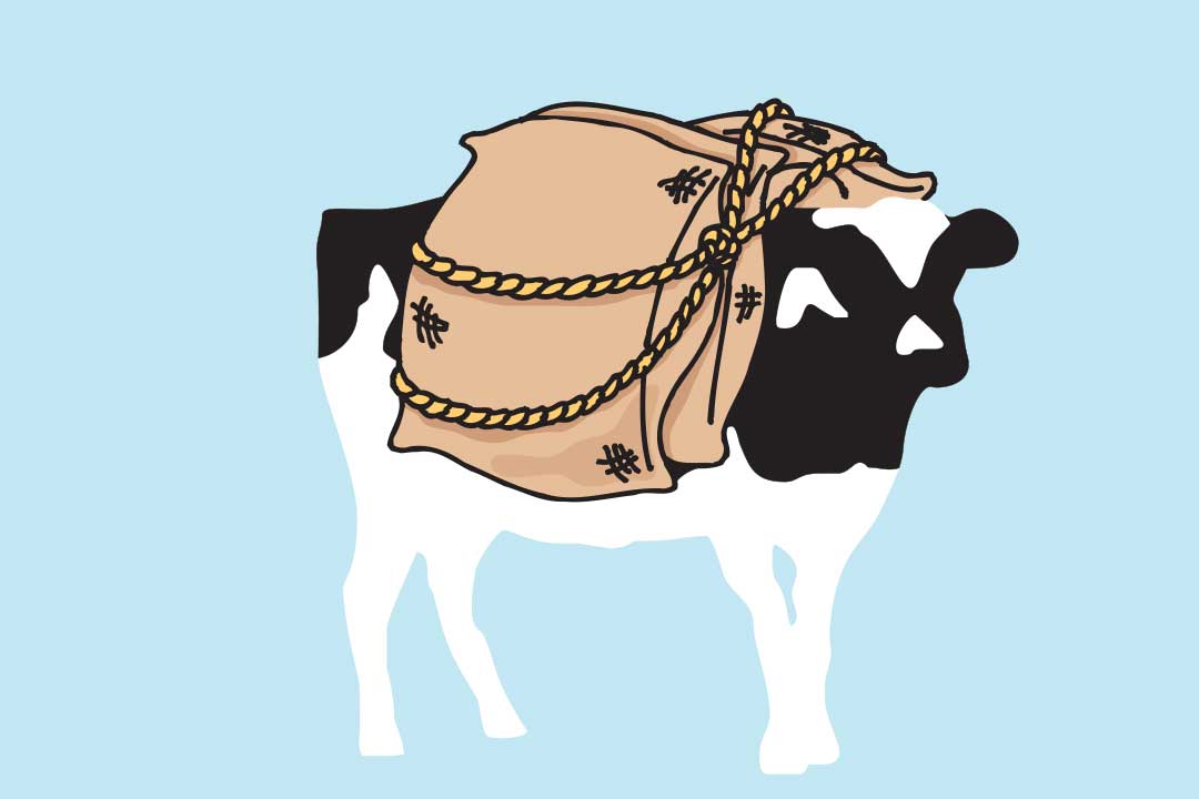 Woodie met zakken op zijn rug